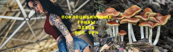 тгк Медногорск