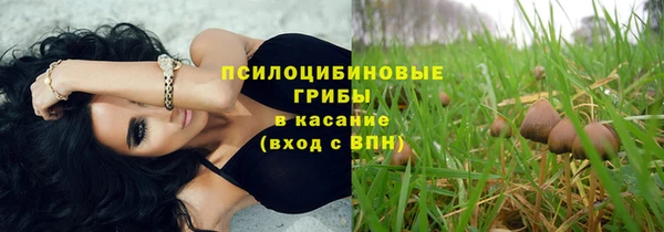 тгк Медногорск