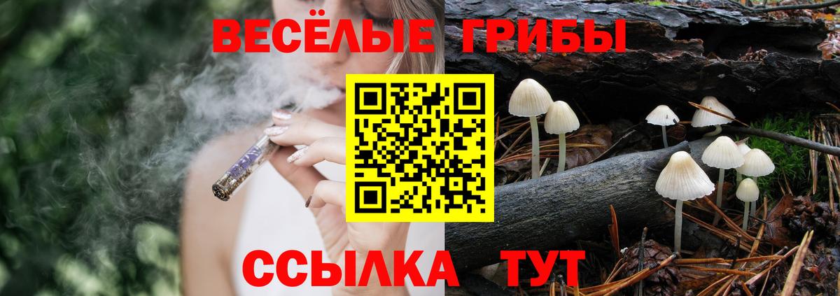Галлюциногенные грибы Cubensis  Галлюциногенные грибы Magic Shrooms  Дюртюли  Вход с VPN 